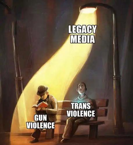 legacy-media-msm-shining-light-gun-violence-vs-trans.jpg