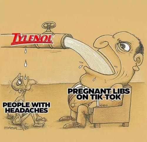 tylenol-people-with-headaches-libs-pregnant-tik-tok.jpg