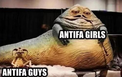 1000020393