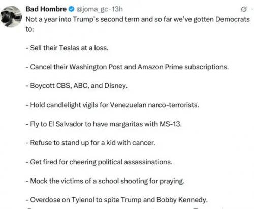 x-liberal-tds-one-hear-trump-term-tylenol-ms-13.jpg