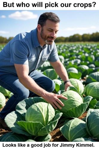 Looks like a good job for Jimmy Kimmel.768px