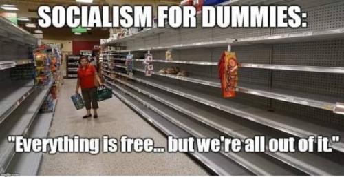 socialism for dummies