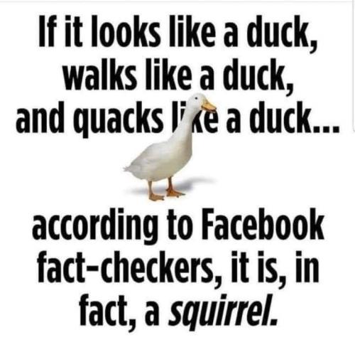 058af2e569090889f4331f70c9a058e1