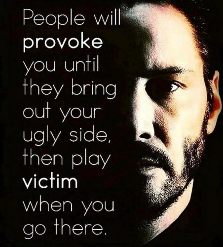 victim provoked