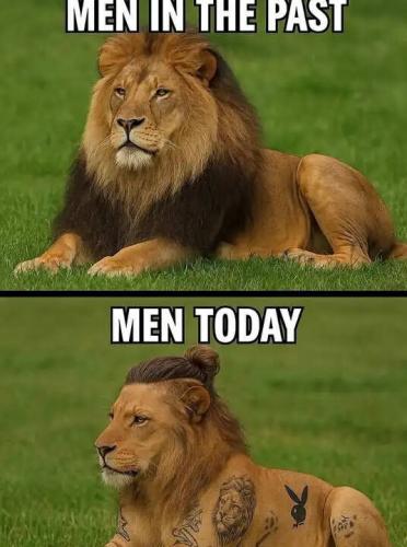 men-in-past-lions-now-manbun-tattoos.jpg