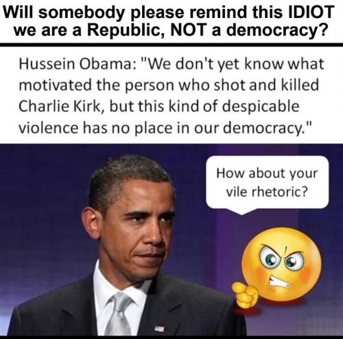 Will somebody remind this idiot we are not a democracy.768px