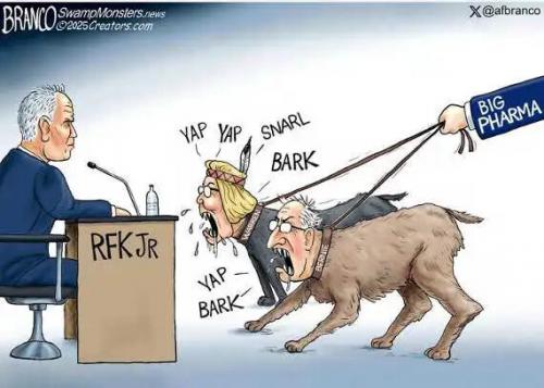 big-pharma-attack-dogs-warren-bernie-rfk-jr.jpg