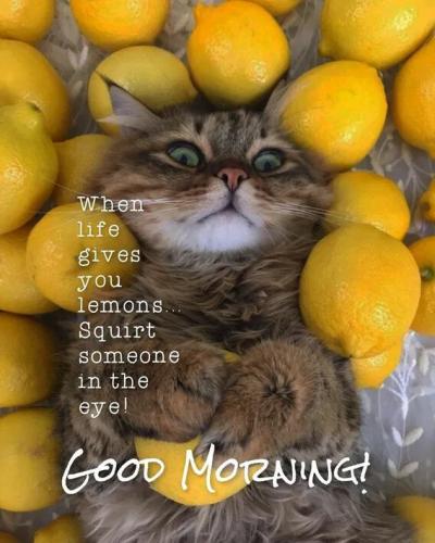 2f4d865e6fb0486cc040698e3a86bdc8