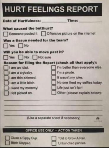 hurt feelings report