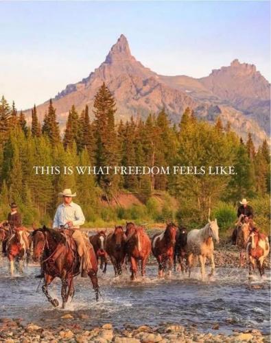 What freedom feels like