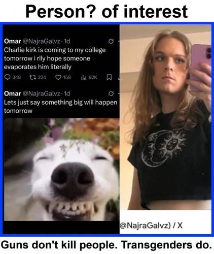 Guns don't kill people transgenders do.768px