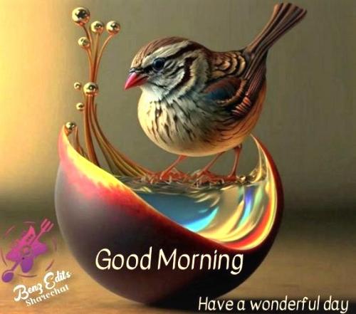 090225 - GM Bird
