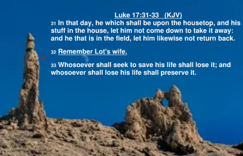 Luke 17.31