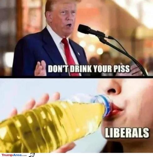 how-liberals-think