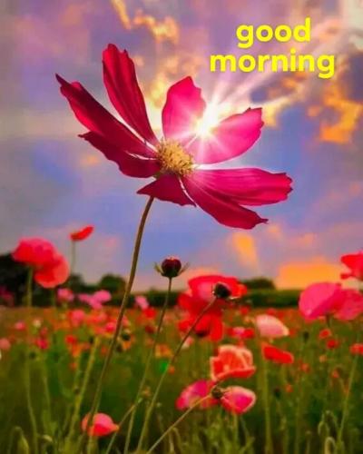 99df4fd113715fe66cfba7b02c803474