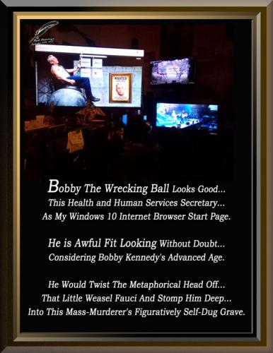 Bobby The Wrecking Ball Internet Browser Start Page