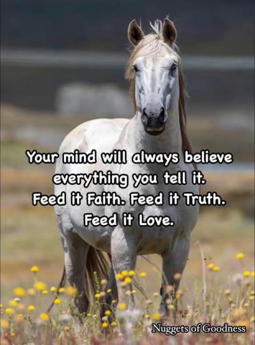 Feed your mind