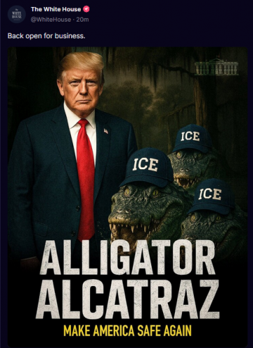 9-4-25 Aligator Alcatraz