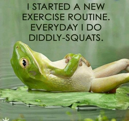 Exercise - Diddly squats