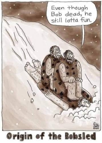 Cartoon - Bobsled