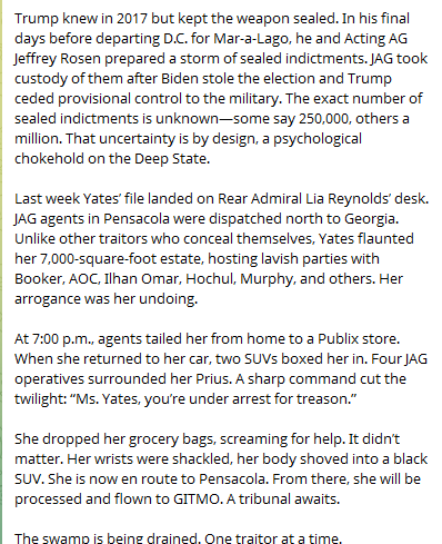 Sally_Yates_Arrested_for_Treason_2-2