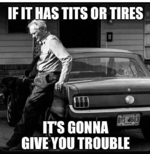 if-has-tits-or-tires-will-give-you-trouble.jpg