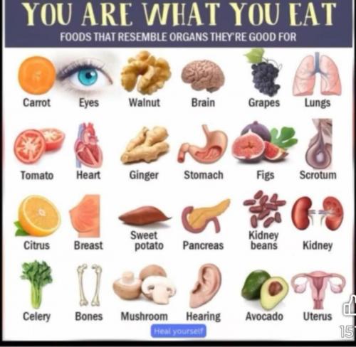 Food, Health -- You are What You Eat (Foods Look Like Organs)
