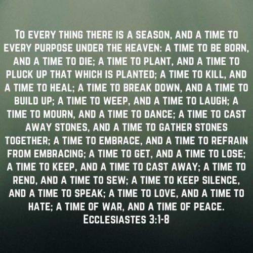 e7c9b5ab-d967-4b47-abf7-5222434c482b_640x640