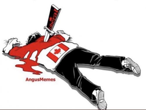 Liberal 223a - Watch your back Canada