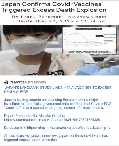 Japan VAX excess deaths