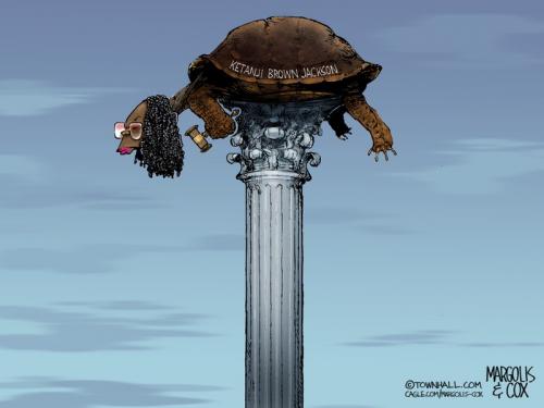 MC-PostTurtle-101725-thm-800x0