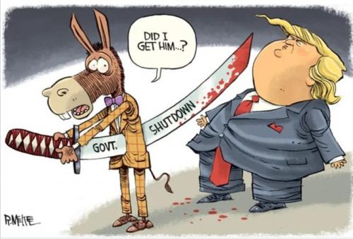Shutdown the government for good 17 - missed even the ear