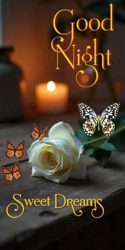 6400af6ceec0bee5fef3ea295d039a8d