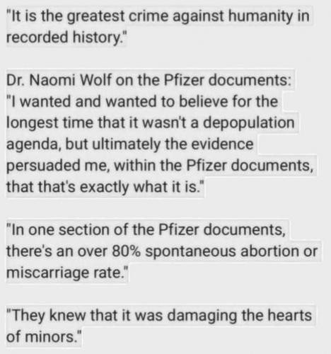 Dr, Wolf  depop
