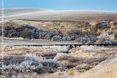 frost_and_bridge_900px