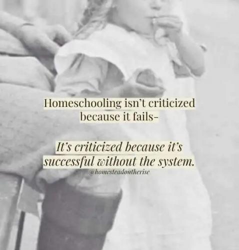 message-homeschool-not-criticized-failed-successful-without-system.jpg