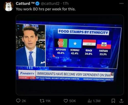 FOOD STAMPS ETHNICITY 2
