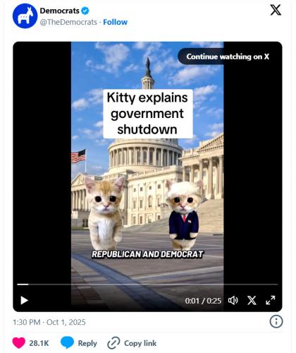 Democrat Idiots and Their Kitty's