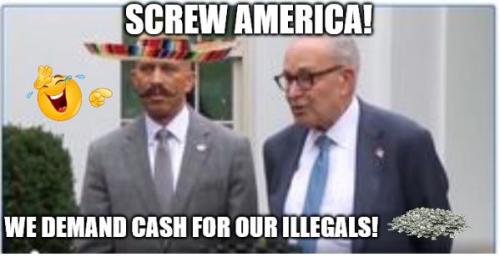 bidendemocratshutdown9