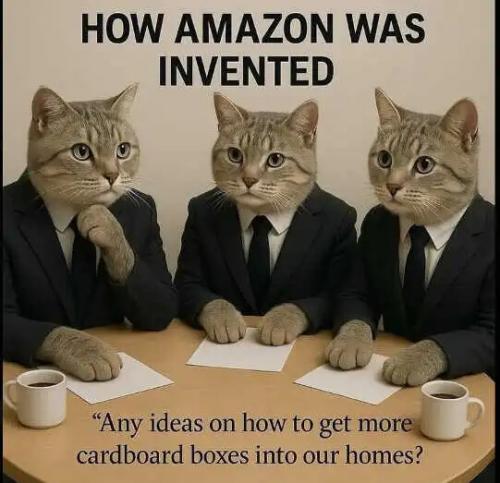 cats-how-amazon-was-invented-ideas-get-more-cardboard-boxes-homes.jpg