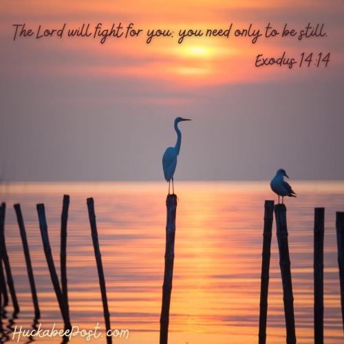 0144b92a-a06b-47d6-ad5e-b3a6d9dca8a5_1080x1080