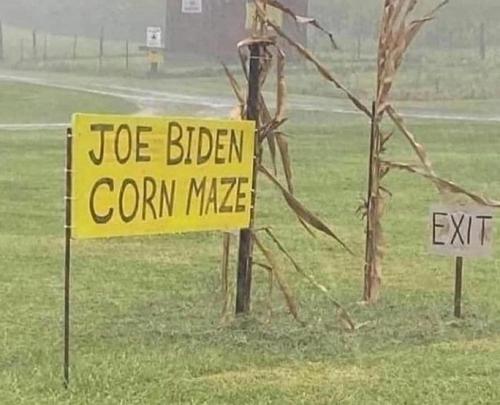 cornmaze