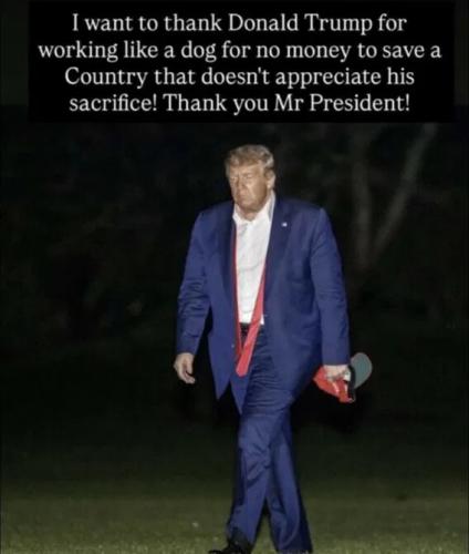 djt dog2