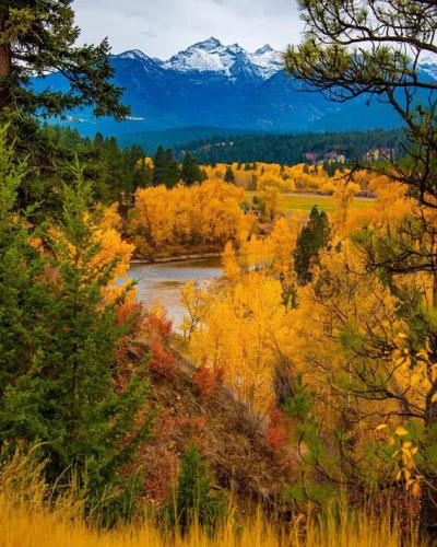 Flathead Fall Montana. BEAUTIFUL!