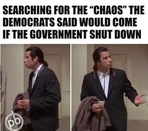 searching-chaos-democrats-government-shutdown.jpg