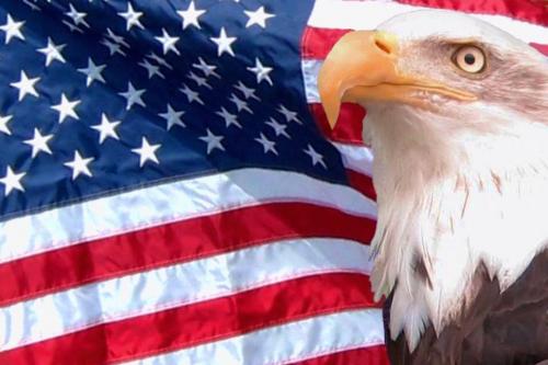 Flag - With eagle 2