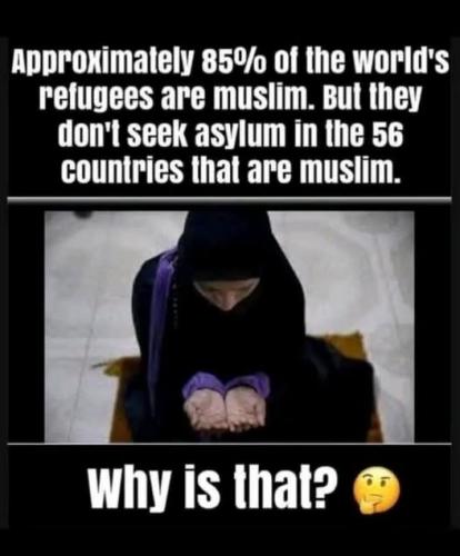 574389812_1501071041214044_3605155470912128760_n