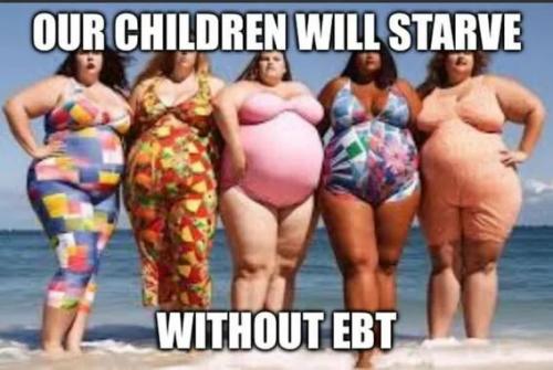 c2eb2cad-474a-4ed4-b1f8-e7629cdbd3ed_568x381
