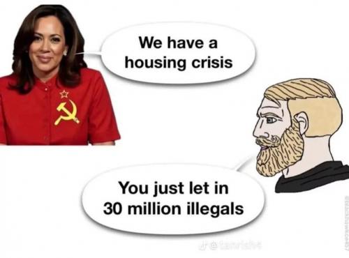ILLEGAL ALIEN HOUSING