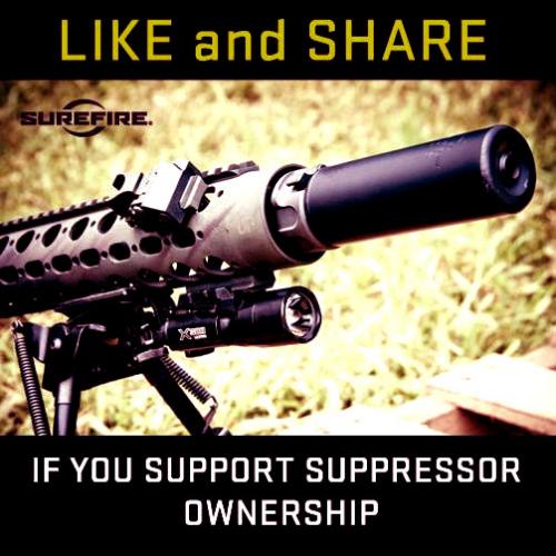 Gun Suppressor Ownership